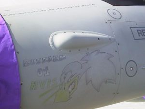 990331 buzzard 01 nvis 02